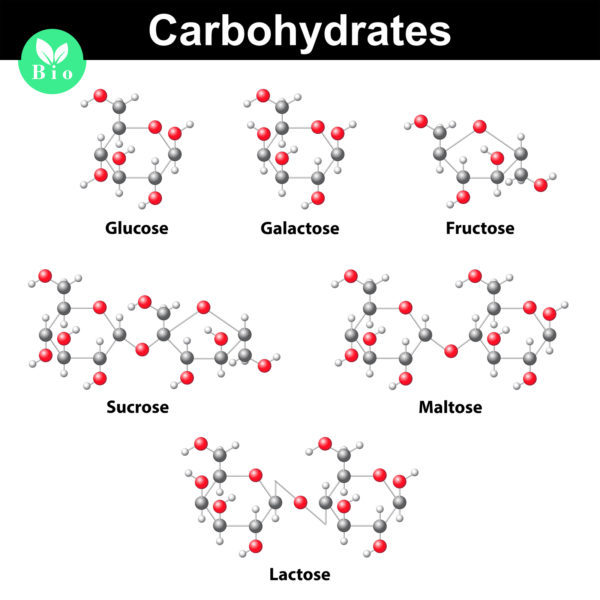 Choosing Your Carbohydrate Source